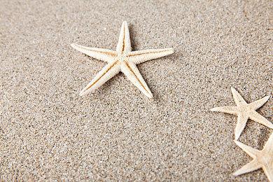 《漫威暗夜之子》妮可·米诺鲁预告片展示技能特性